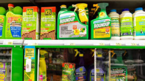 Glyphosate interdit : le marché noir du Roundup continue malgré les contrôles